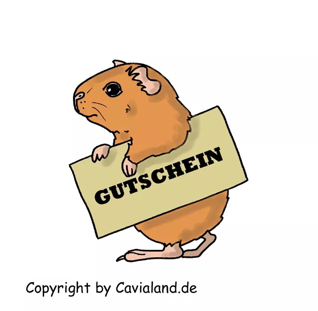 Gutscheine / Bonusprogramm